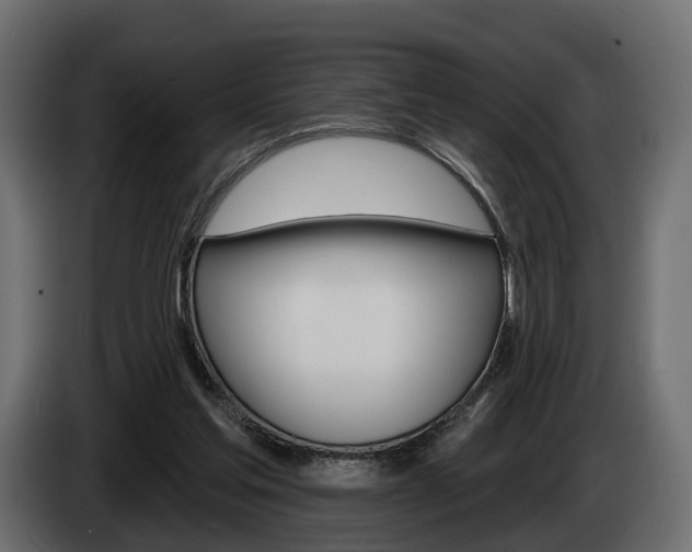 X0000085040205200703051032