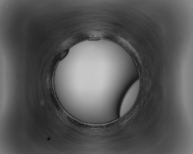 X0000085040209200703051032
