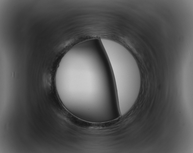 X0000085040211200703051031