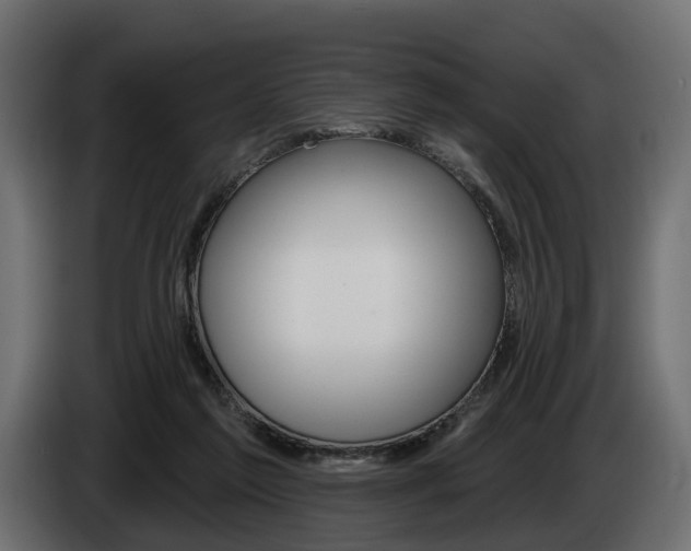 X0000085040213200703051031