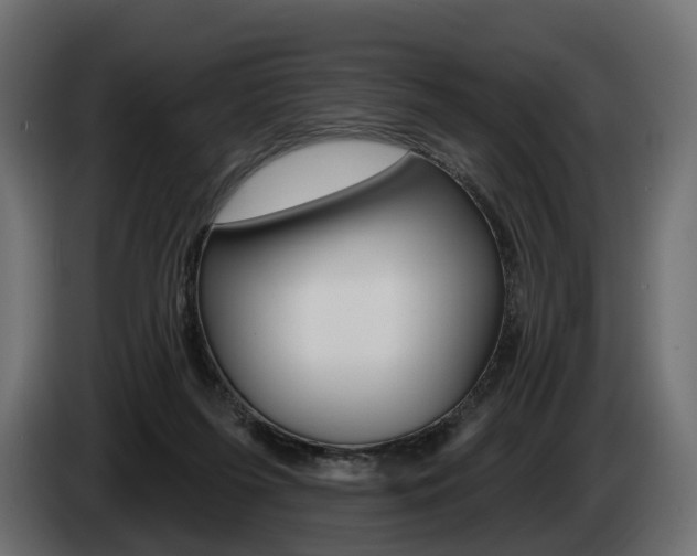 X0000085040215200703051031