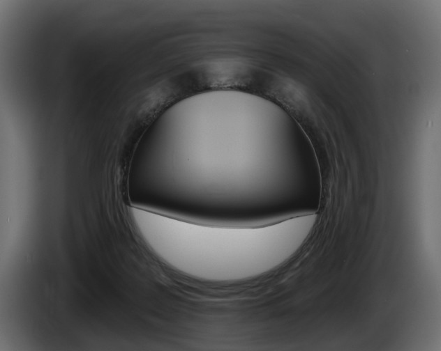 X0000085040219200703051031