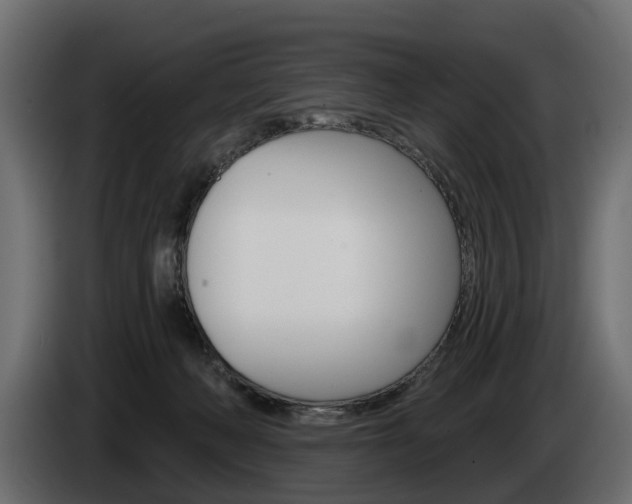 X0000085040222200703051031
