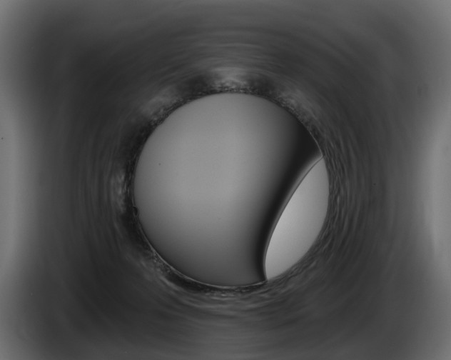 X0000085040223200703051031