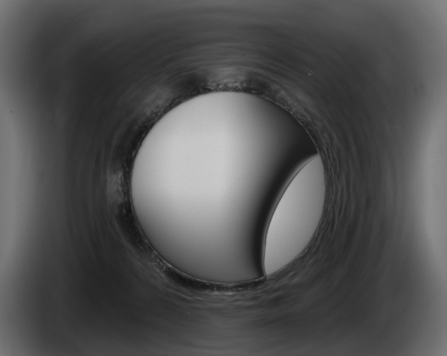 X0000085040224200703051031