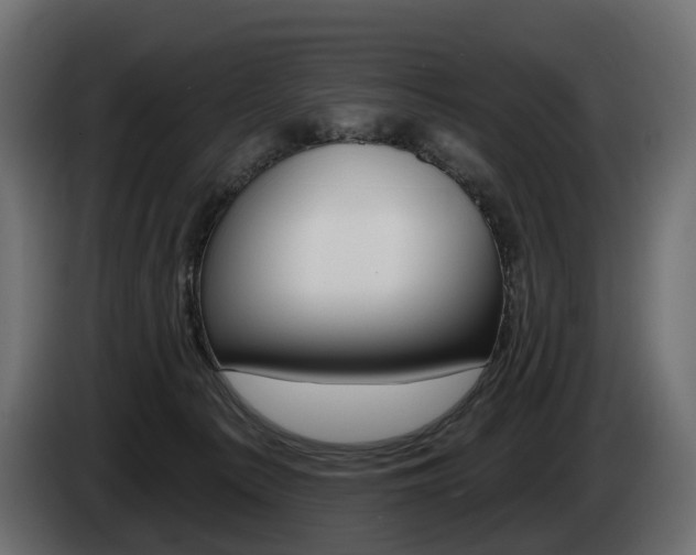 X0000085040225200703051031
