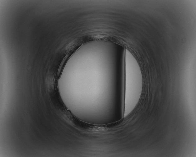 X0000085040227200703051031