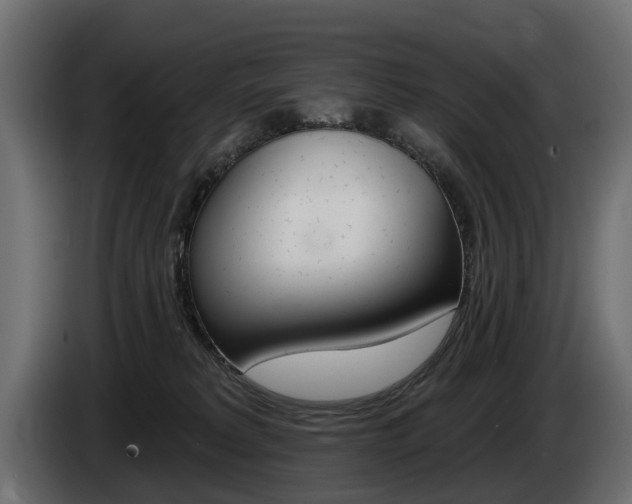 X0000085040229200703051031