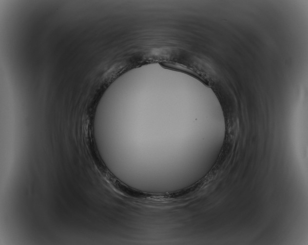 X0000085040231200703051031