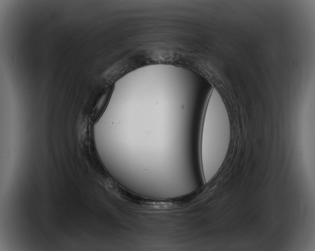 X0000085040233200703051031