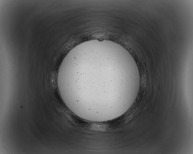 X0000085040234200703051031