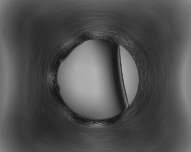 X0000085040235200703051031