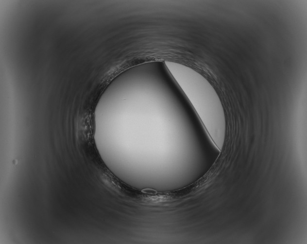 X0000085040237200703051031