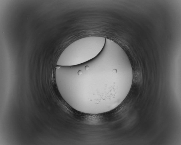 X0000085040238200703051031