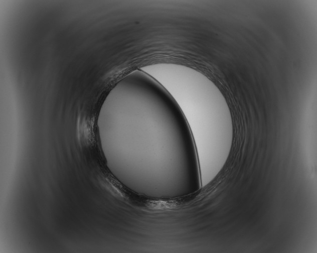 X0000085040239200703051031