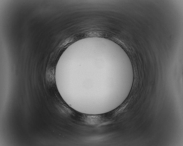 X0000085040240200703051031