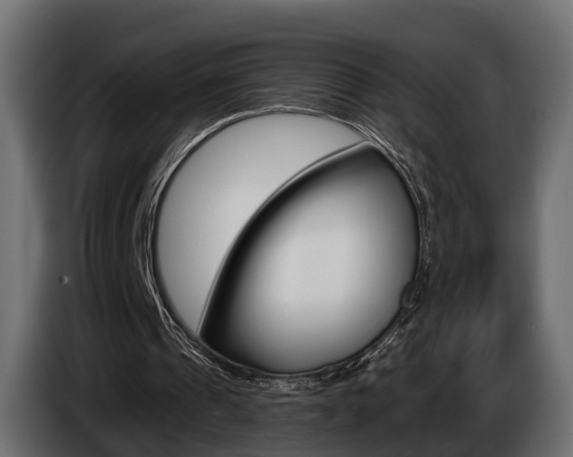 X0000085040241200703051031