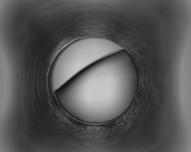 X0000085040242200703051031