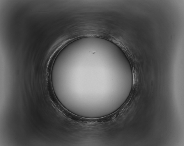X0000085040243200703051031