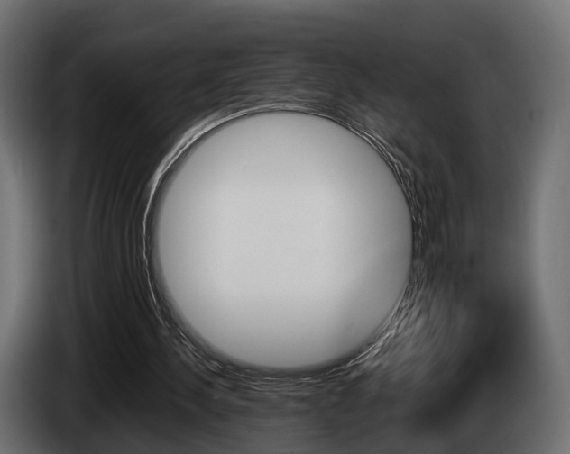 X0000085040244200703051031
