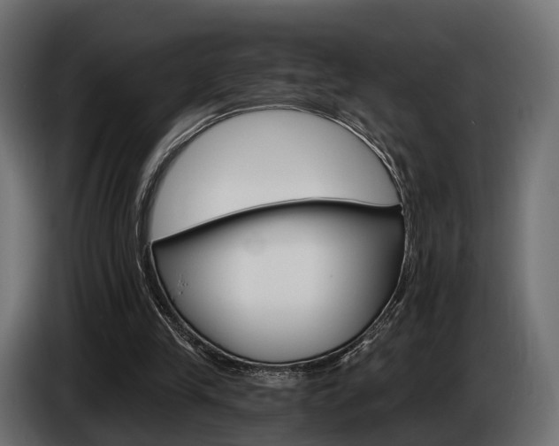 X0000085040245200703051031