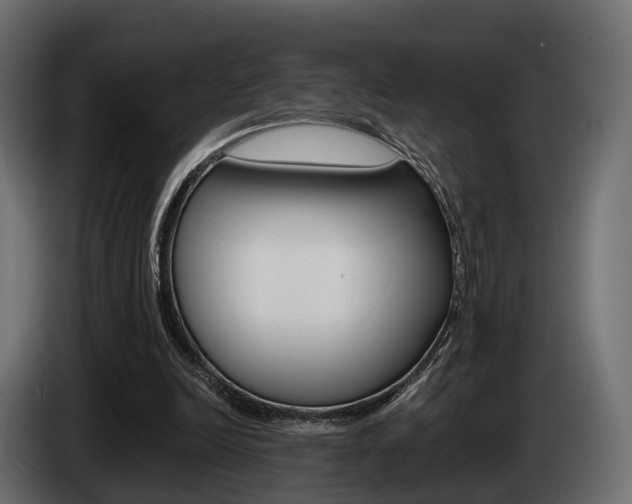 X0000085040246200703051031