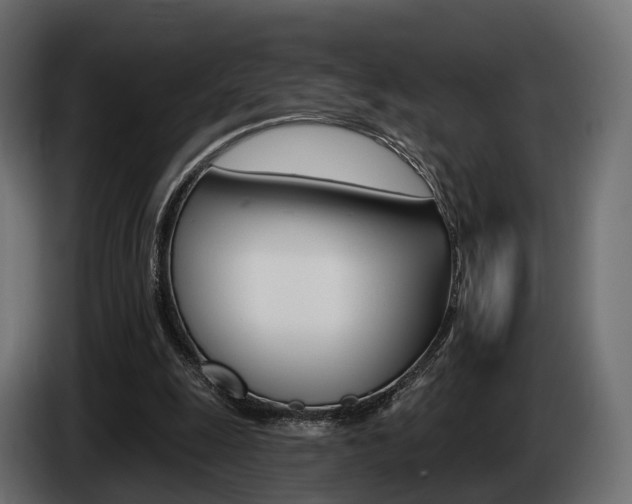 X0000085040247200703051031
