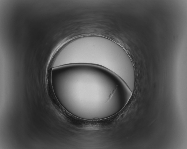 X0000085040248200703051031