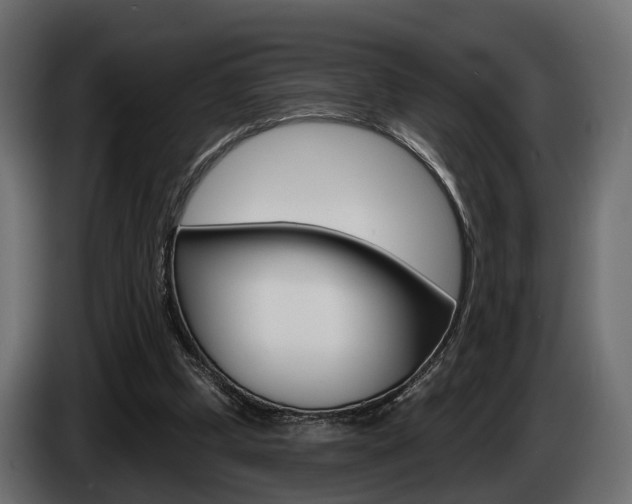 X0000085040249200703051031