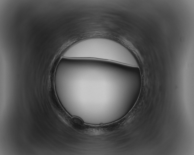 X0000085040250200703051031