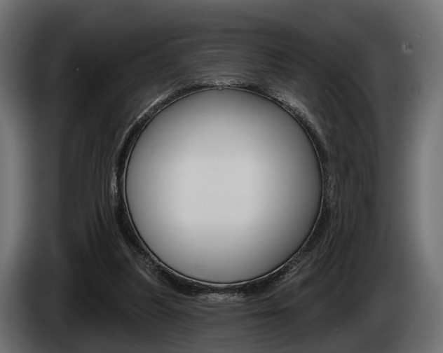 X0000085040251200703051031