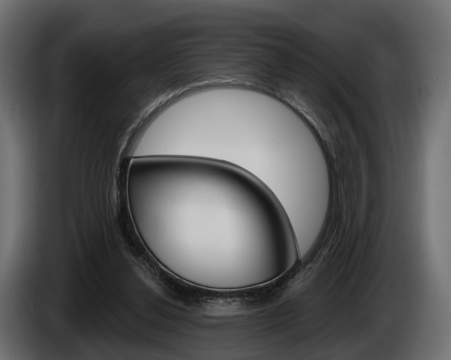 X0000085040252200703051031
