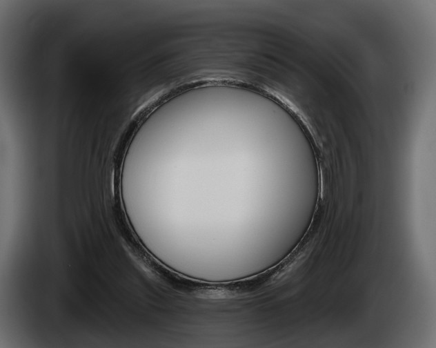 X0000085040253200703051031