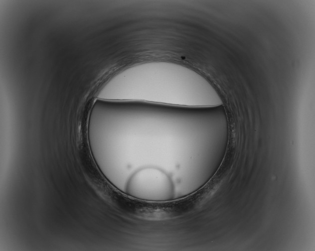 X0000085040254200703051031