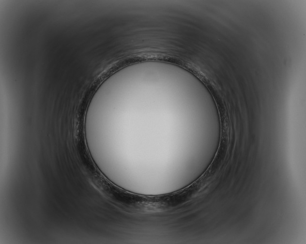 X0000085040255200703051031