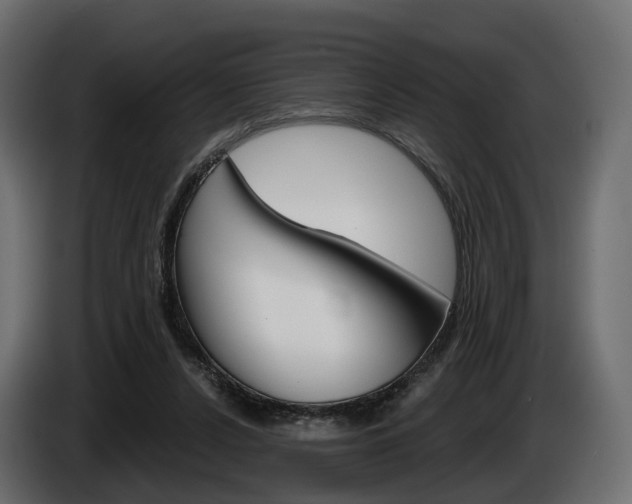 X0000085040256200703051031