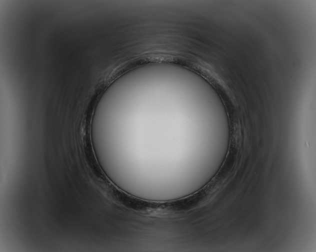 X0000085040259200703051031