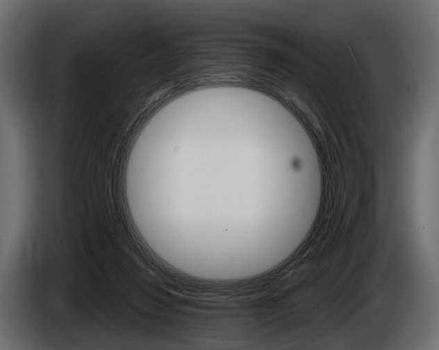 X0000085040260200703051031