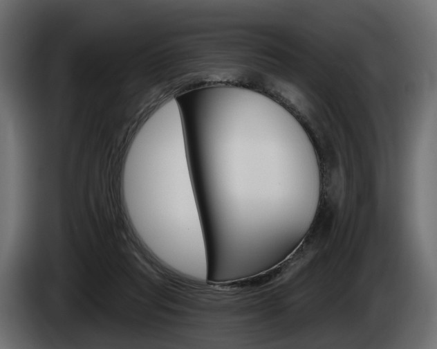 X0000085040261200703051031