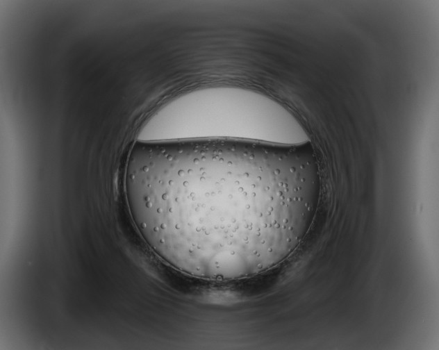 X0000085040262200703051031