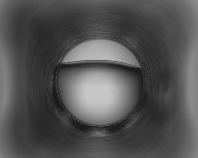 X0000085040263200703051031
