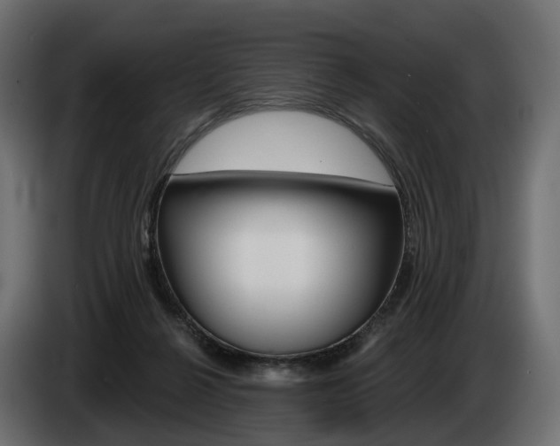 X0000085040264200703051031