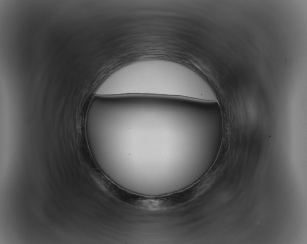 X0000085040265200703051031