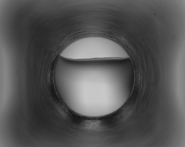 X0000085040266200703051031