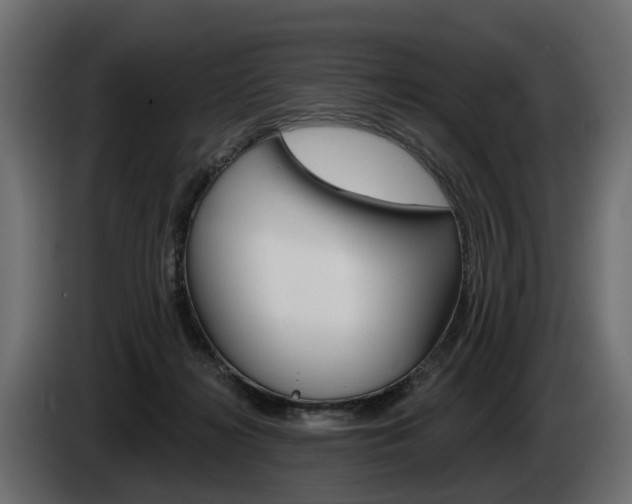 X0000085040268200703051031
