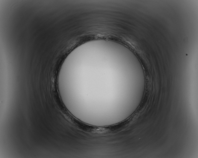 X0000085040269200703051031