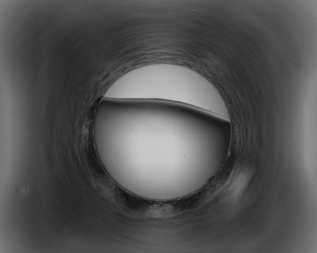 X0000085040271200703051031