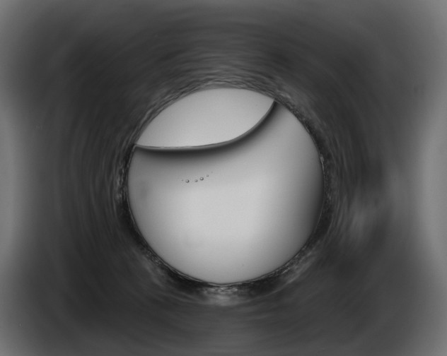 X0000085040273200703051031