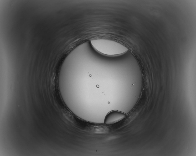 X0000085040275200703051031
