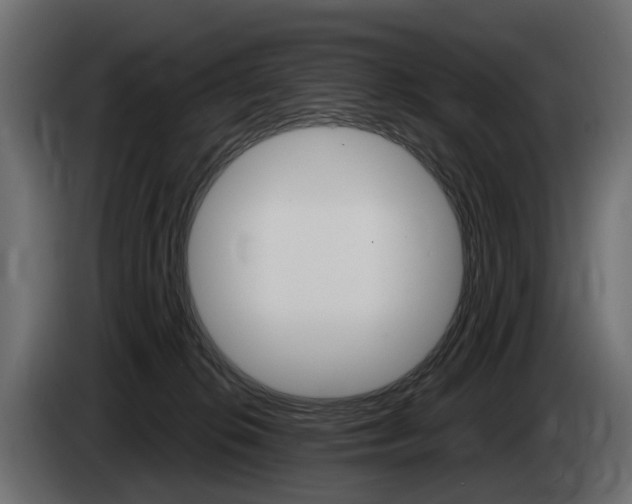 X0000085040276200703051031